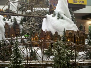 IMG_20101209_130137