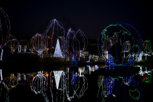 Wildlights 0396 - G. Jones, Columbus Zoo and Aquarium