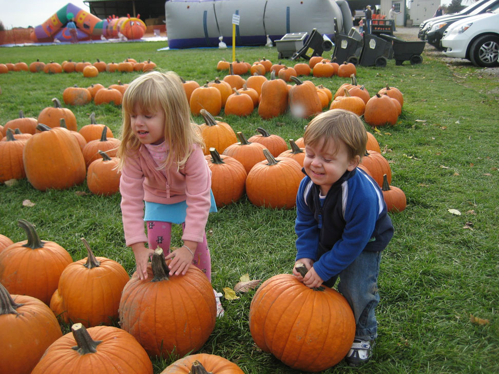 Jacquemin Farms in Plain City, OH